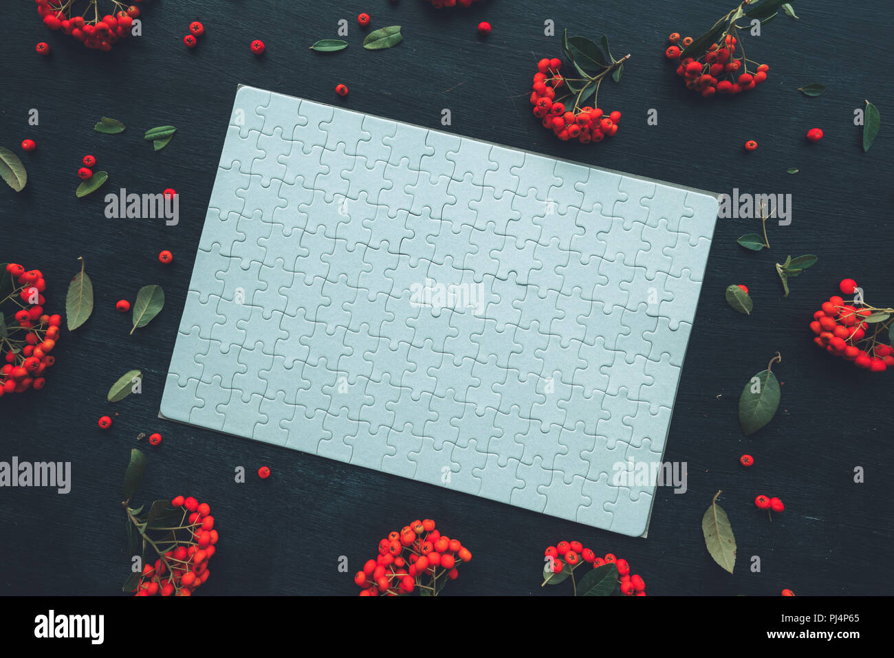 Flach leer Puzzle Top View als Kopie Raum über dunklen Hintergrund mit Wild Berry Obst Anordnung Stockfoto
