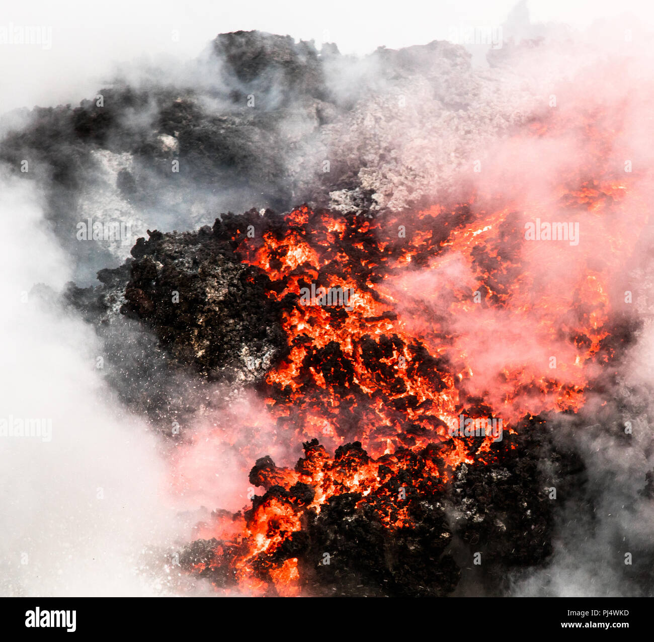 Lava fließt ins Meer in der Nähe von Punta Moreno von der Juli Eruption 2018 Der cerra Negra auf die Insel Isabela, Galapagos, Ecuador Stockfoto