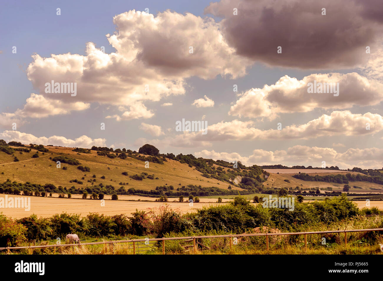 Die Fovant Badges sind ein Satz von regimental Abzeichen zu einem Chalk Hill Schnitt, fovant Unten, in der Nähe von Fovant, im Südwesten Wiltshire, England Stockfoto