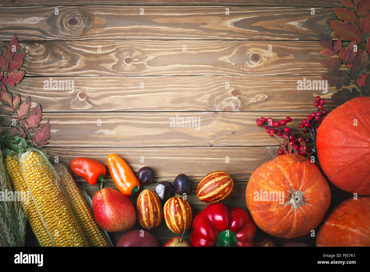 Happy Thanksgiving Day Hintergrund, Tisch mit Kürbis, Mais, Früchte und Blätter im Herbst eingerichtet. Herbstfest. Harvest Festival. Die Aussicht von Th Stockfoto