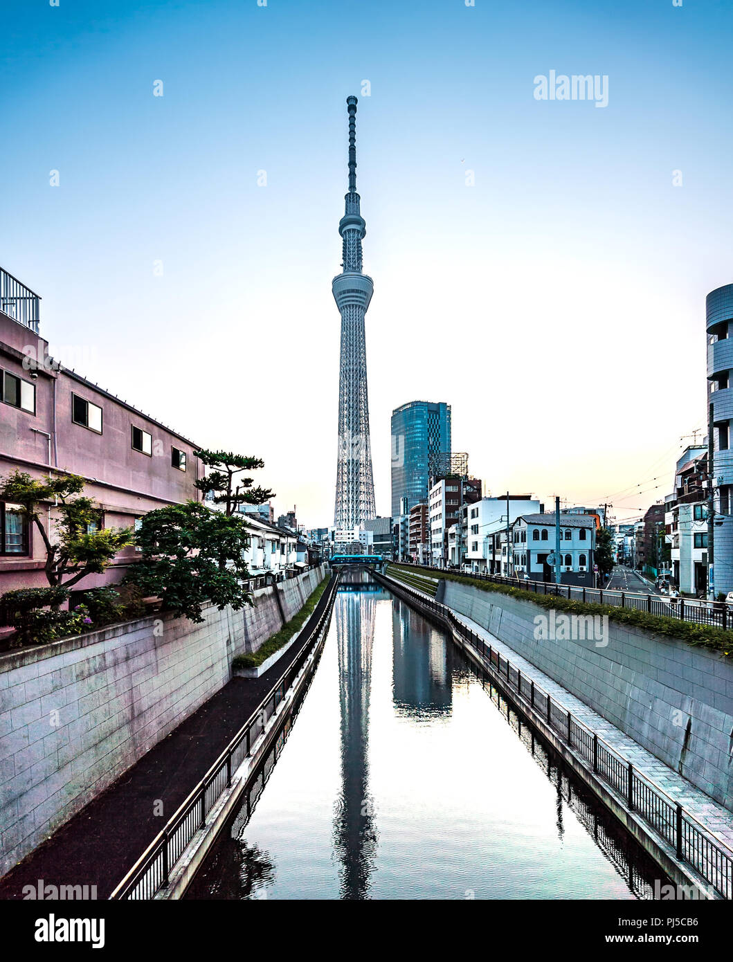 TOKYO, Japan - 22. Juni 2018: Tokyo Sky Tree, Sonnenuntergang und blauer Himmel. Tokyo Sky Tree ist eine der berühmtesten Sehenswürdigkeiten in Tokio. Es ist die höchste Struktur Stockfoto
