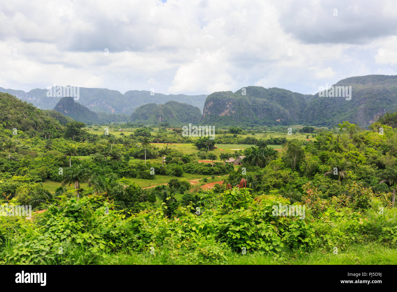 Viñales Tal Panorama, Blick über üppig grüne Landschaft, Provinz Pinar del Rio, Kuba Stockfoto