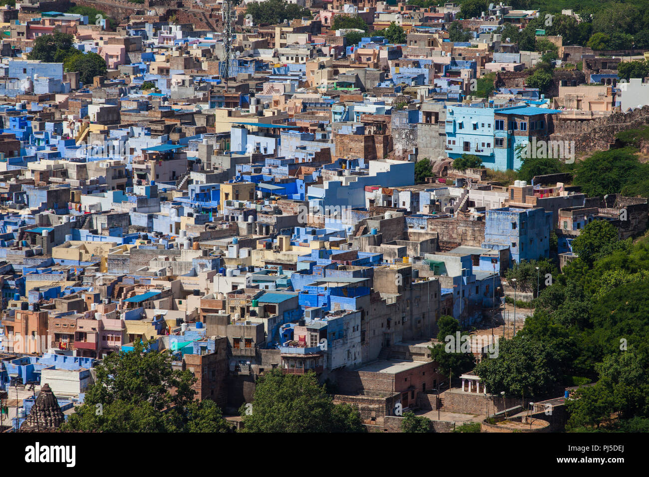 Jodhpur, die blaue Stadt, Indien Stockfoto