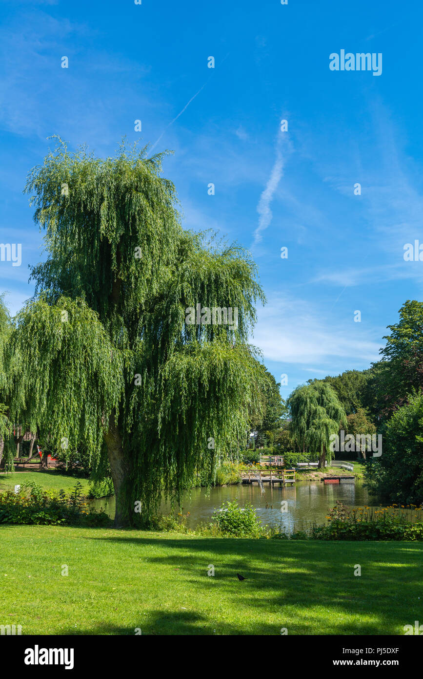 Kurpark, Ostseebad (Gem. Groemitz blieben) am 14.08.2017 Ostholstein, Schleswig-Holstein Stockfoto