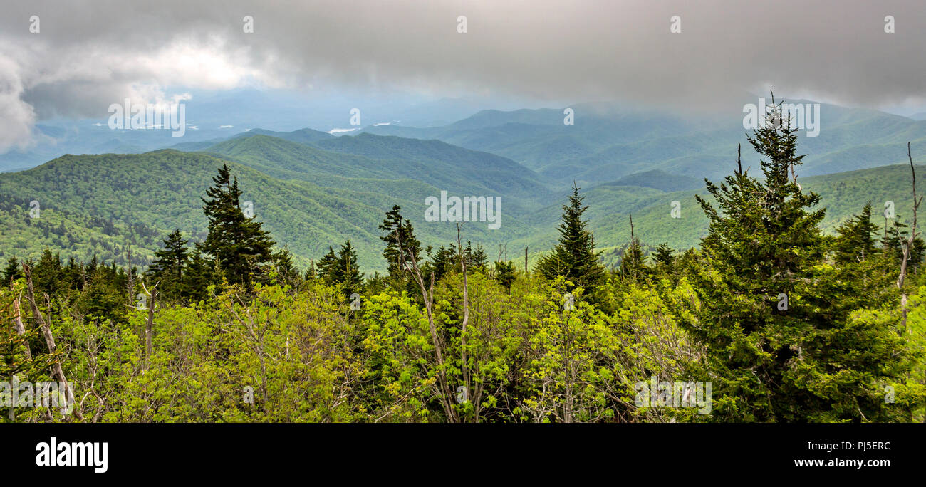 Ein Blick auf die Great Smoky Mountains National Park Stockfoto