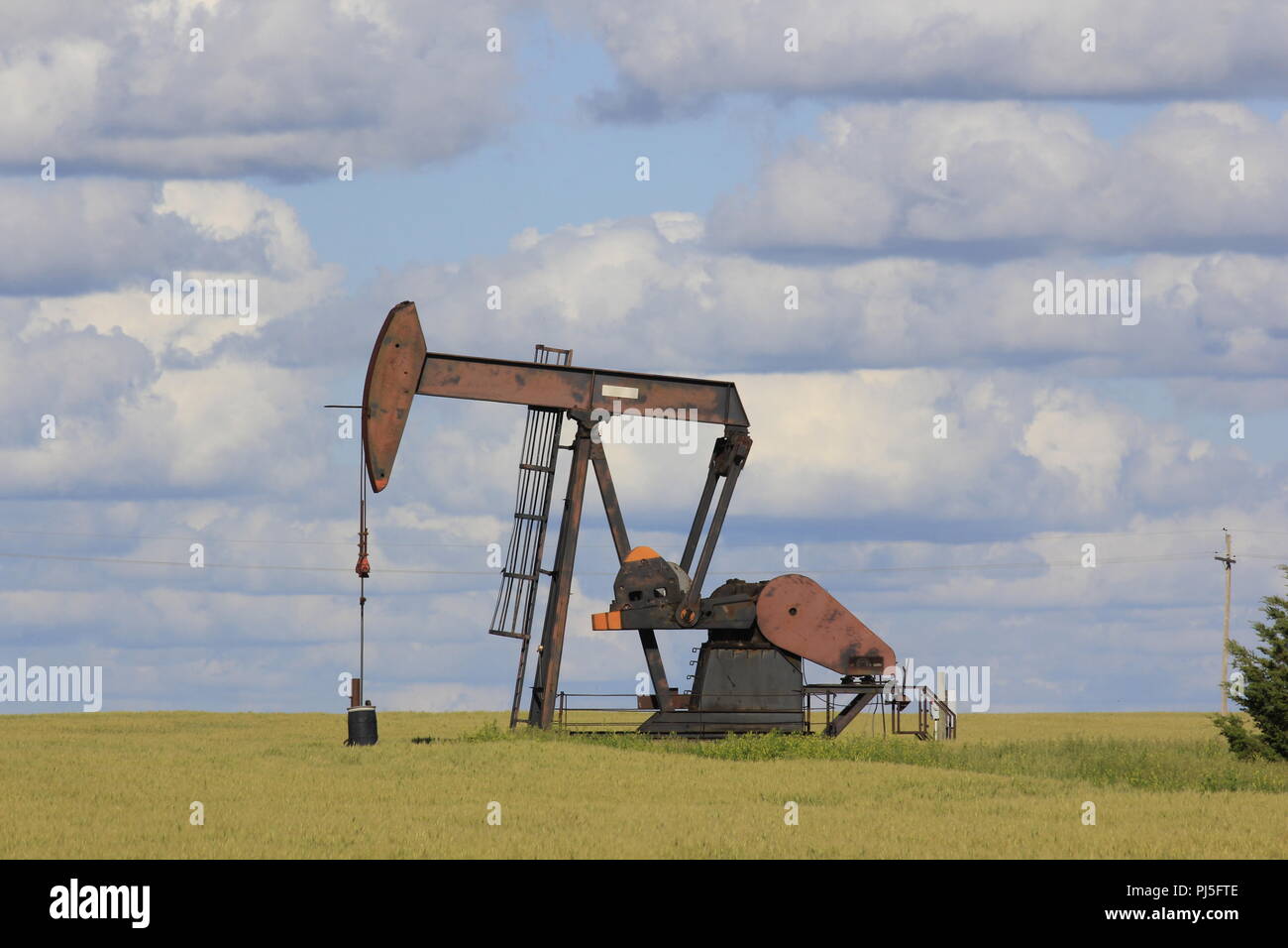 Kansas Öl Pumpe mit grüner Weizen, blauen Himmel und weißen Wolken. Stockfoto