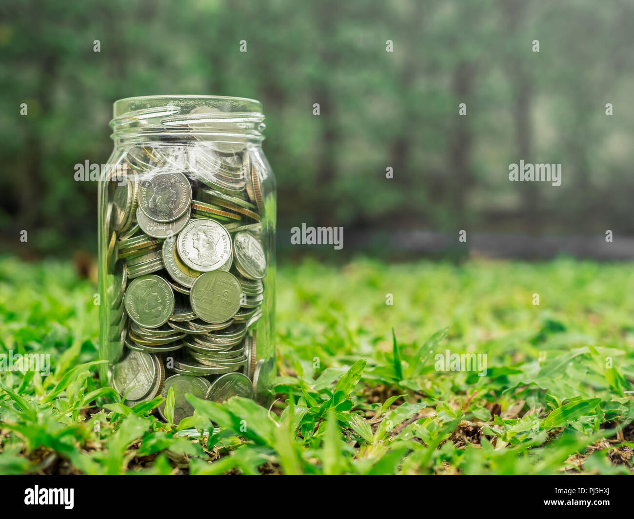 Münzen in Glas Glas auf grünem Gras Hintergrund mit kopieren. Geld sparen. Stockfoto