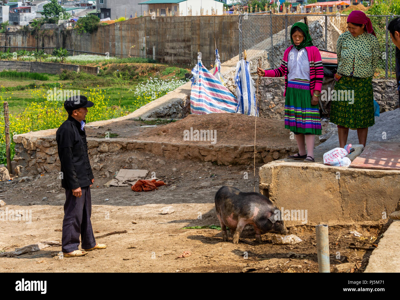 Dong Van, Vietnam - am 18. März 2018: Die Leute von der ethnischen Minderheit der Hmong verkaufen ein Schwein an der Dong Van Sonntag Markt Stockfoto