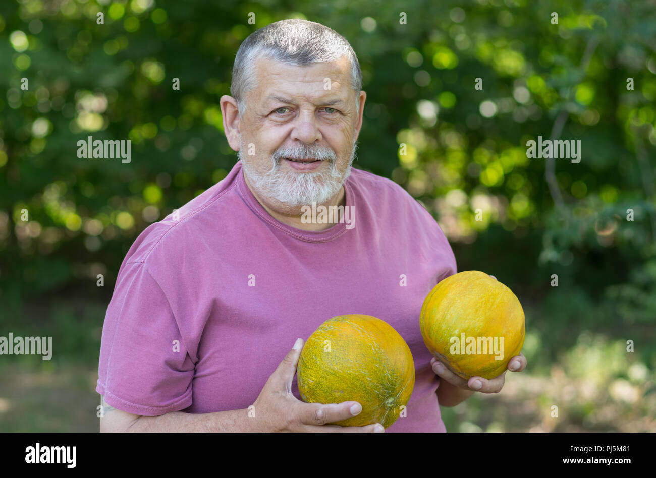 Outdoor Portrait eines bärtigen älteren zwei gelbe Melonen in den Händen gegen grüne Baum Schatten natürlichen Hintergrund Stockfoto