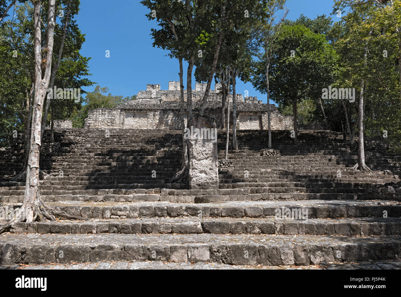 Die Ruinen der antiken Stadt calakmul, Campeche, Mexiko. Stockfoto