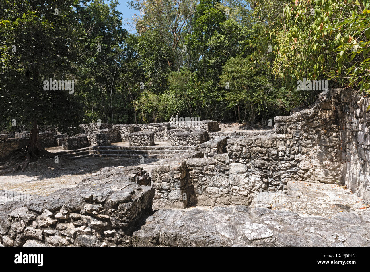 Die Ruinen der antiken Stadt calakmul, Campeche, Mexiko. Stockfoto