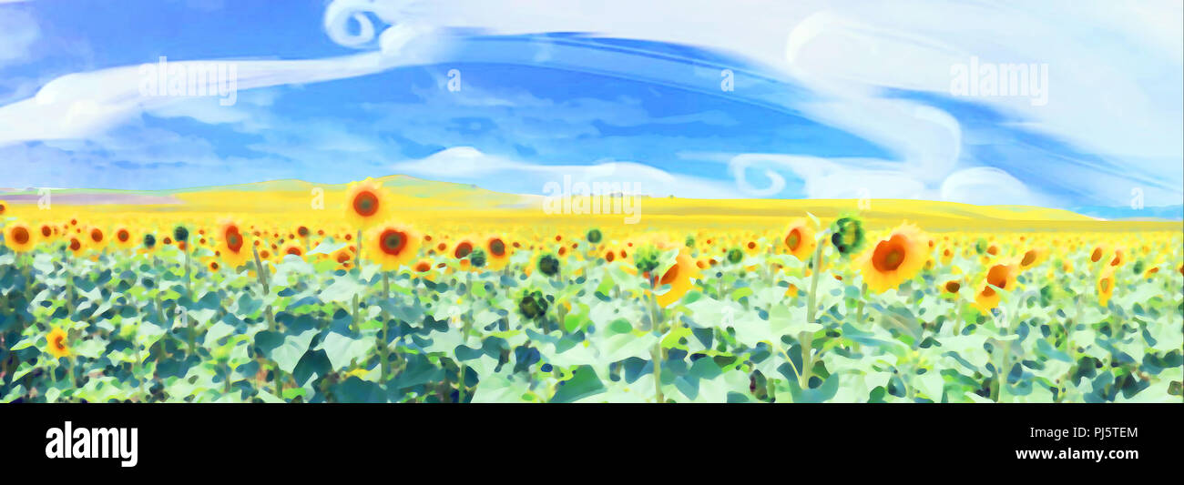 Feld bedeckt mit Millionen von Sonnenblumen Stockfoto
