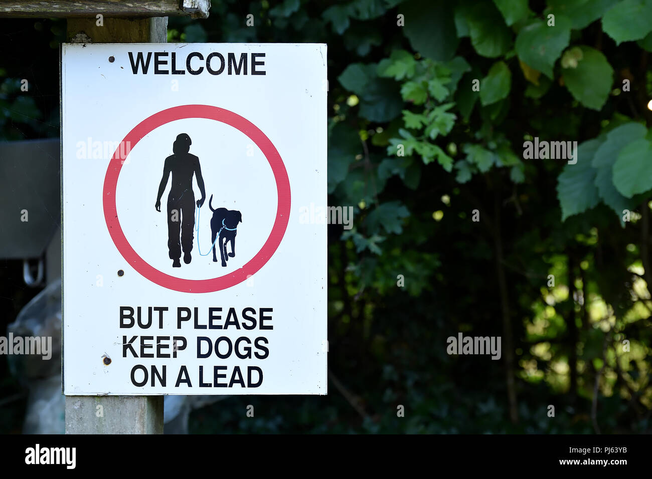 Willkommen, aber bitte Hunde an der Leine halten bitte melden sie sich auf einer hölzernen Pfosten. Symbol für Mensch und Hund an der Leine mit schwarzem Text auf weißem Hintergrund in einem roten ci Stockfoto