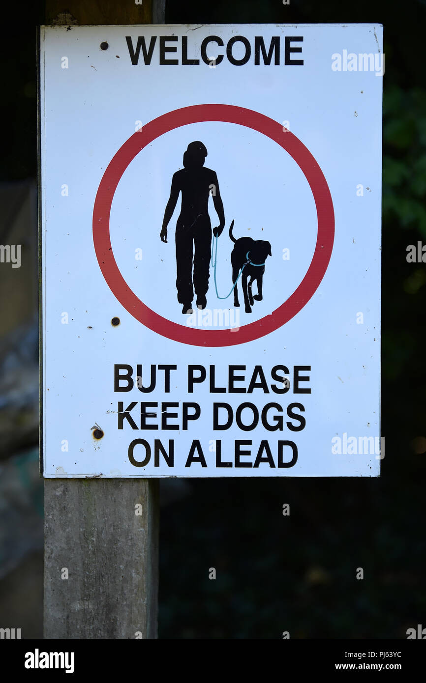 Willkommen, aber bitte Hunde an der Leine halten bitte melden sie sich auf einer hölzernen Pfosten. Symbol für Mensch und Hund an der Leine mit schwarzem Text auf weißem Hintergrund in einem roten ci Stockfoto