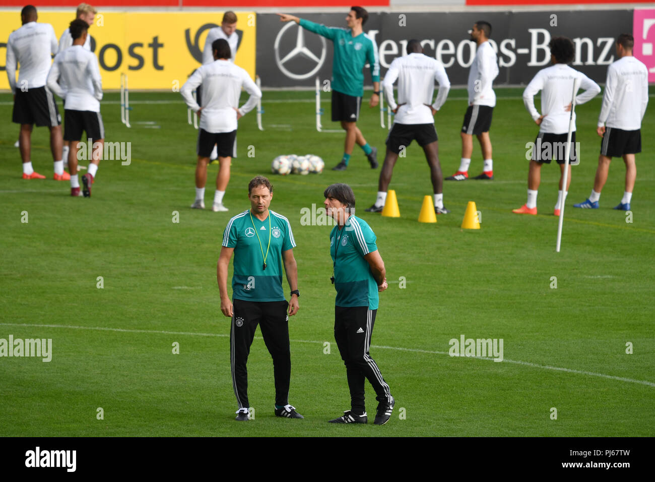 Bundestrainer Joachim Jogi Löw, NIEDRIG (GER) mit Marcus SORG (co-Trainer). Fußball, Training der Deutschen Nationalmannschaft am 04.09.2018 in München/FC Bayern Campus, Sven Simon Foto Agentur GmbH & Co.KG # Drücken Sie die Taste Foto Prinzess-Luise-Str. 41#45479 M uelheim/Ruhr # Tel. # 0208/9413250 Fax. # 0208/9413260 # GLS Bank BLZ 430 609 67 # Kto. 4030 025 100 # IBAN DE 75 4306 0967 4030 0251 00# BIC GENODEM1GLS#www.svensimon.net. | Verwendung weltweit Stockfoto