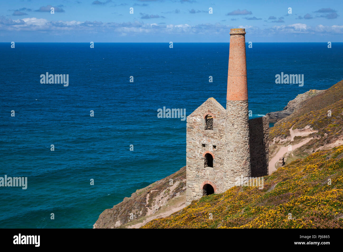 Die hl. Agnes, Cornwall, Großbritannien blauer Himmel über die Ruinen der Wheal Coates Zinnmine auf Atlantik nördlich der Küste von Cornwall in der Nähe von St Agnes. Ruinen von Wheal Coates Zinnmine Engine House, in der Nähe von St Agnes, Cornwall. Credit: Mark Richardson/Alamy leben Nachrichten Stockfoto