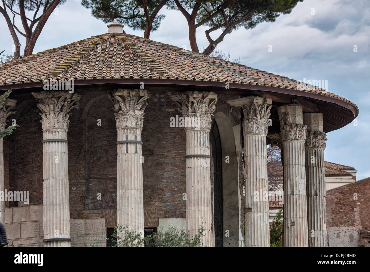 Tempel des Herkules Victor, Hercules Olivarius, Piazza Bocca della Verita, Forum Boarium (2. Jahrhundert), Rom, Latium, Italien Stockfoto