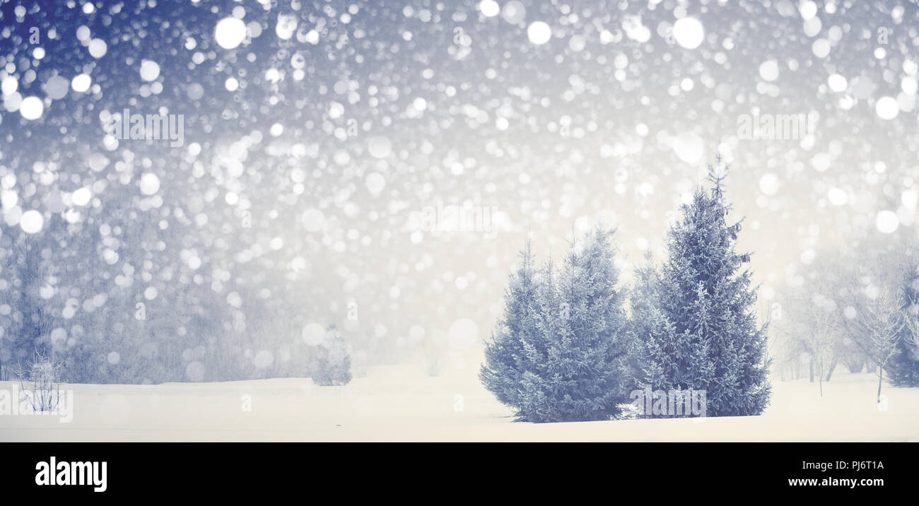 Weihnachten Hintergrund. Xmas Blizzard im Park. Weihnachtsbäume auf verschneiten Wiese. Bunte Schneeflocken in Park. Stockfoto