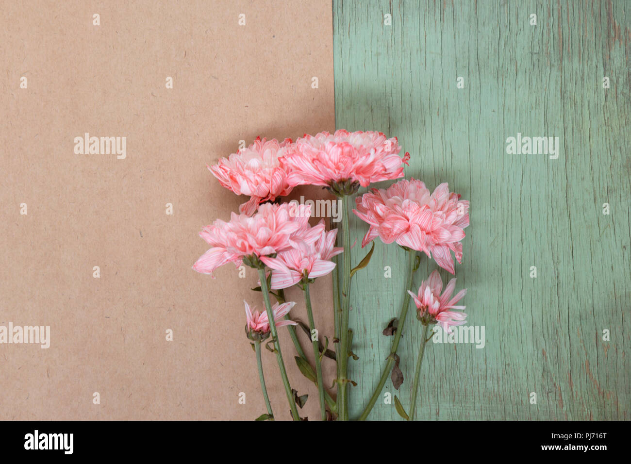 Rosa Nelken Blumen auf Handwerk Papier und grünen Holz- Hintergrund. Floral background mit Copyspace. Stockfoto