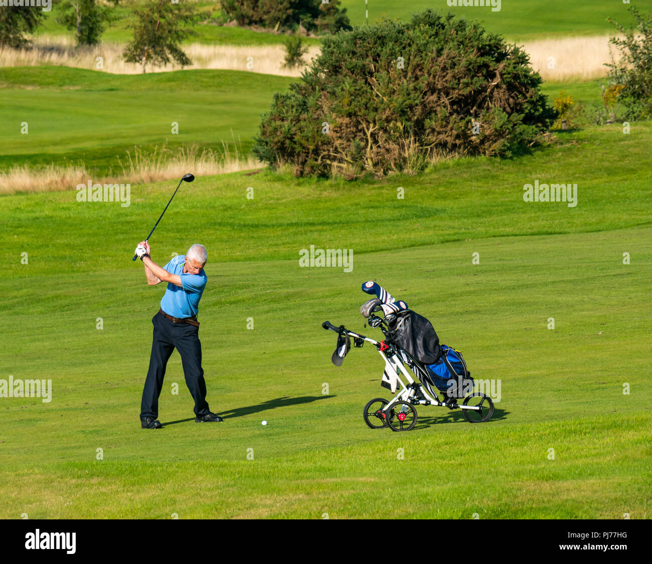 Älterer Mann mit Golfkarre Schwingen Golf Club Golf Ball auf Golfplatz in Sonne, Edinburgh, Schottland, Großbritannien Stockfoto