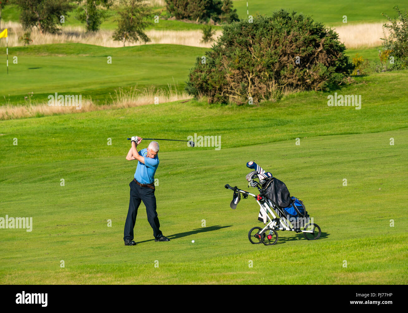 Älterer Mann mit Golfkarre Schwingen Golf Club Golf Ball auf Golfplatz in Sonne, Edinburgh, Schottland, Großbritannien Stockfoto