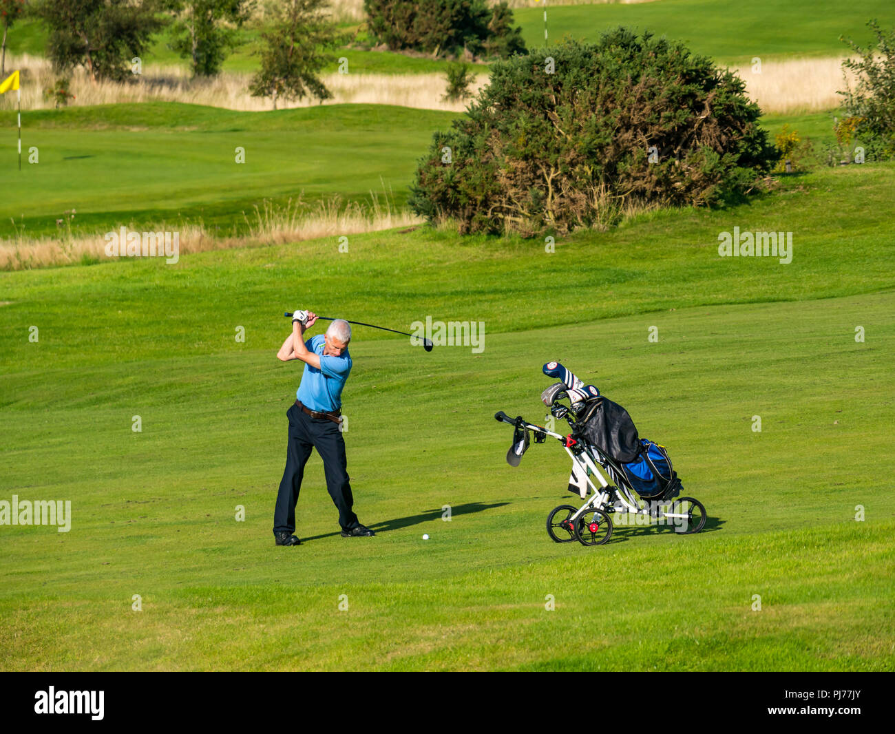Älterer Mann mit Golfkarre Schwingen Golf Club Golf Ball auf Golfplatz in Sonne, Edinburgh, Schottland, Großbritannien Stockfoto