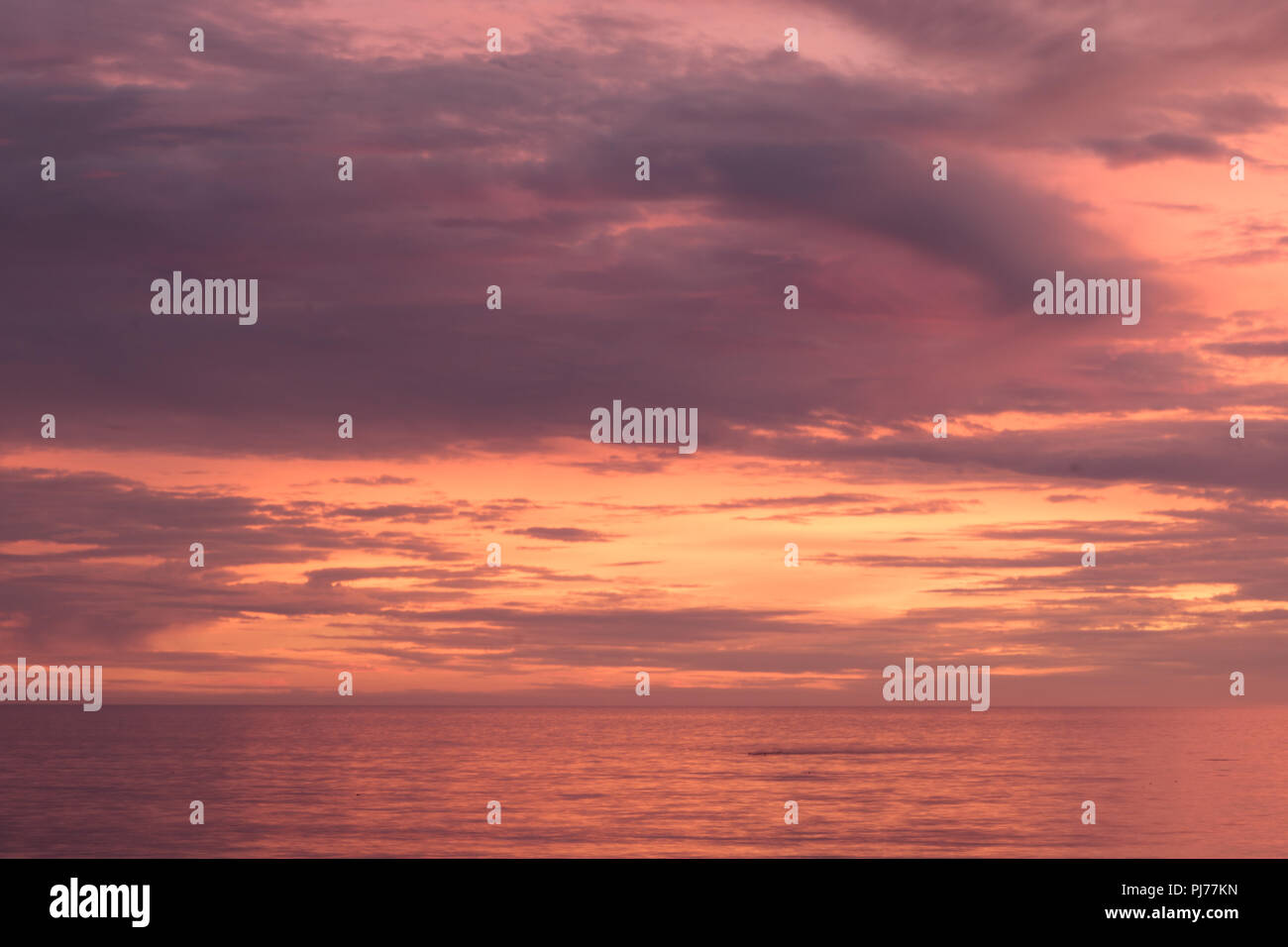 Dramatischer Sonnenuntergang Marine, Orange, Blau, Gelb, Magenta, gold Himmel im Meer Pazifik reflektiert, Hintergrund Foto von Sonne über Horizont ami Stockfoto
