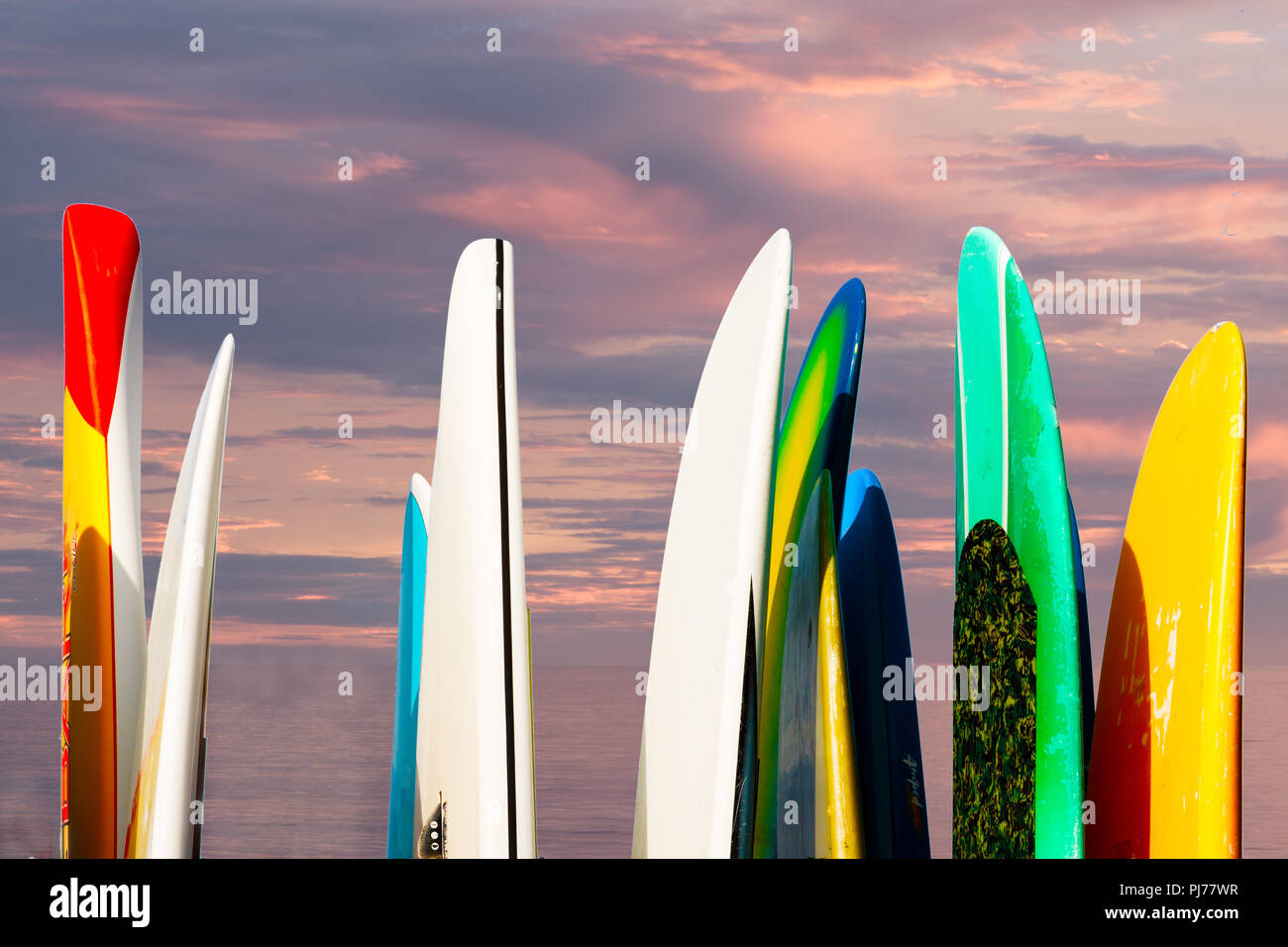 Paddle Boards gegen eine Marine sonnenuntergang himmel mit Blick auf das Meer im Hintergrund stark beansprucht, Spaß Sommer resort Spaß Stockfoto
