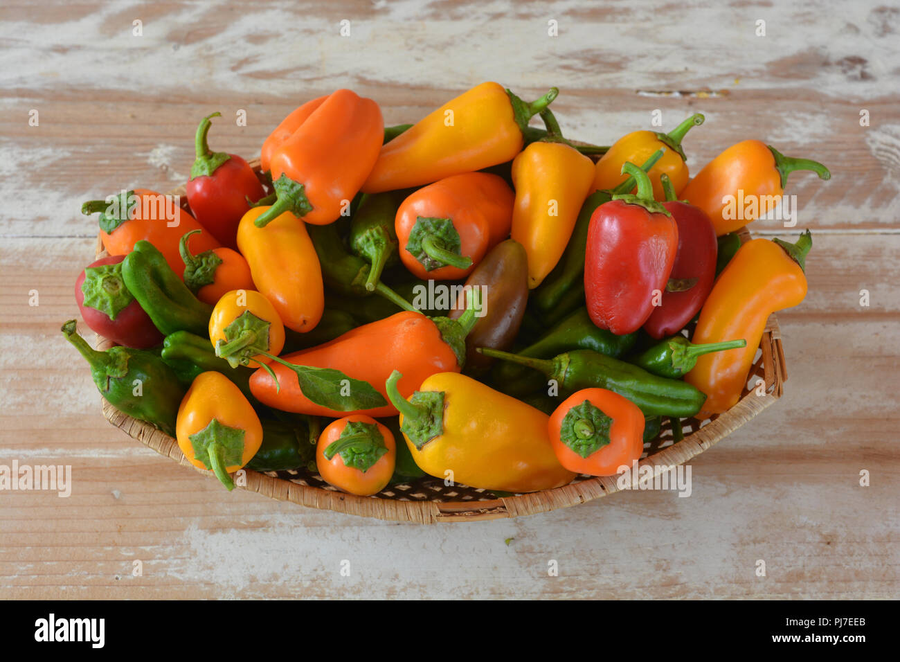 Korb voller frisch gepflückt home-grown organic Rot, Grün, Gelb und Orange Paprika auf einem Holztisch. Hohe Betrachtungswinkel Stockfoto