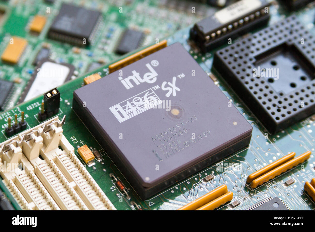 Ein Intel i486 SX (80486SX) Prozessor (CPU) von 1989 in einem Sockel auf der Hauptplatine. Caklov, Slowakei. 2018/7/28. Stockfoto