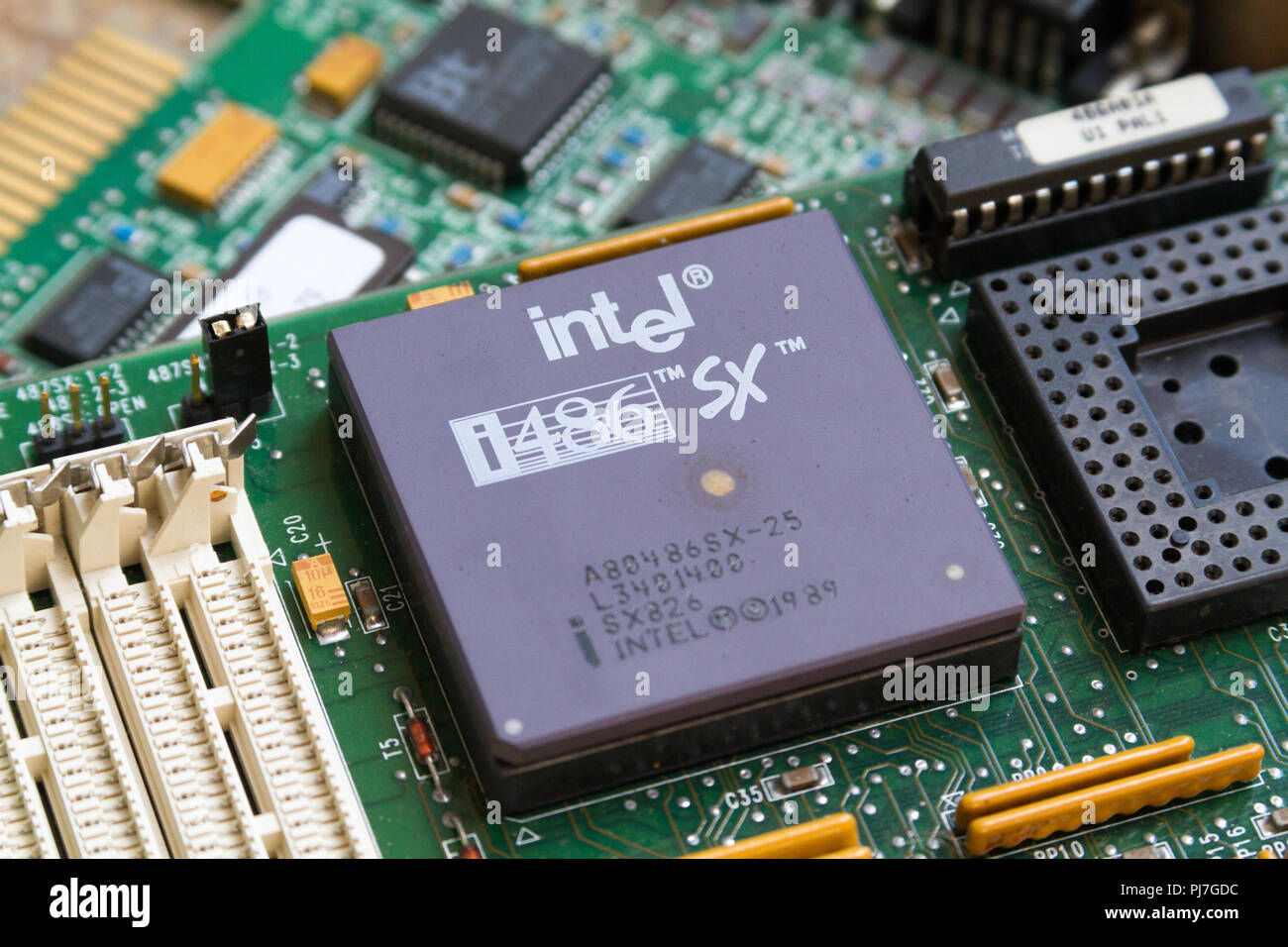 Ein Intel i486 SX (80486SX) Prozessor (CPU) von 1989 in einem Sockel auf der Hauptplatine. Caklov, Slowakei. 2018/7/28. Stockfoto