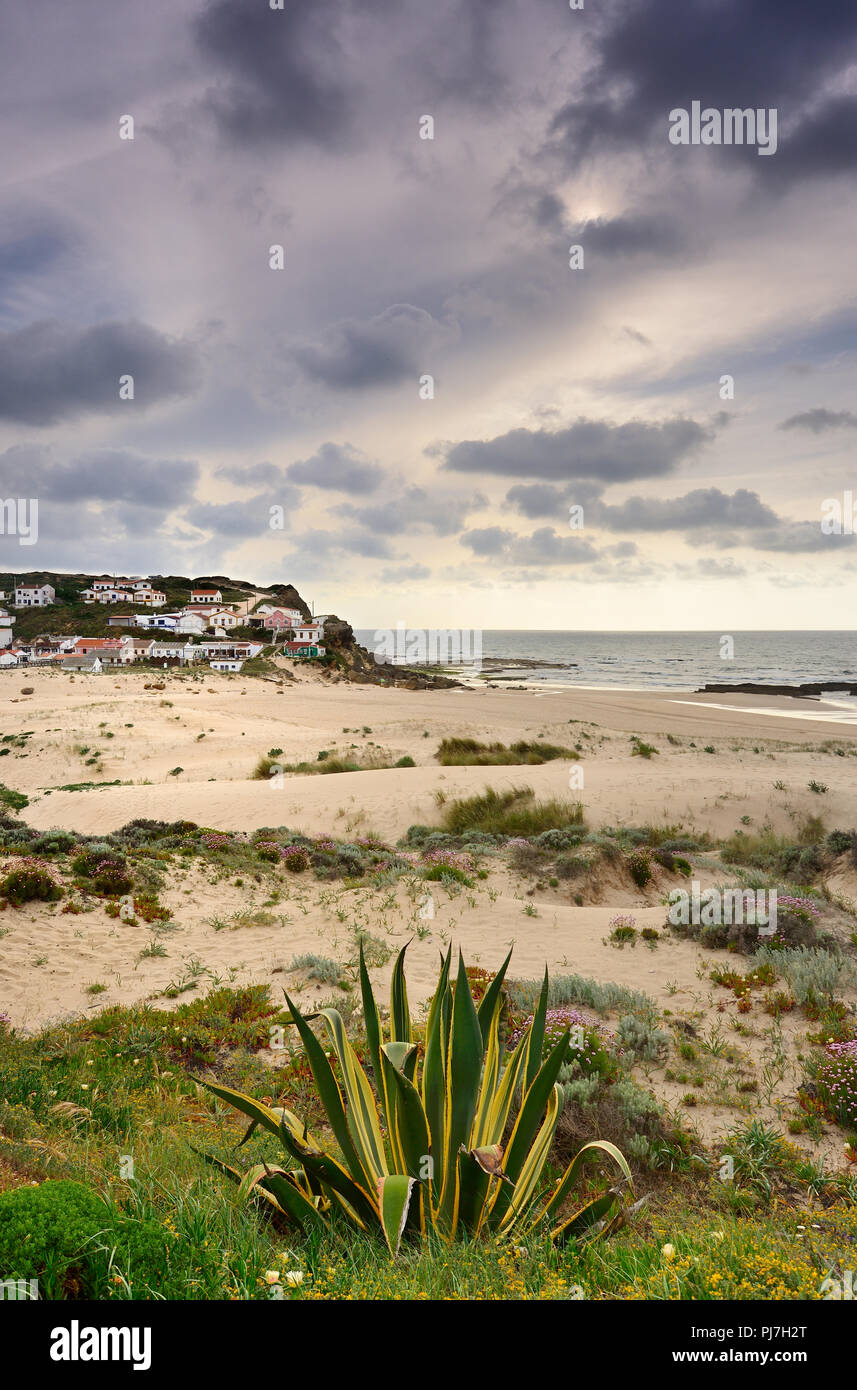 Strand von Monte Clérigo. Parque Natural do Sudoeste Alentejano e Costa Vicentina. Algarve, Portugal Stockfoto