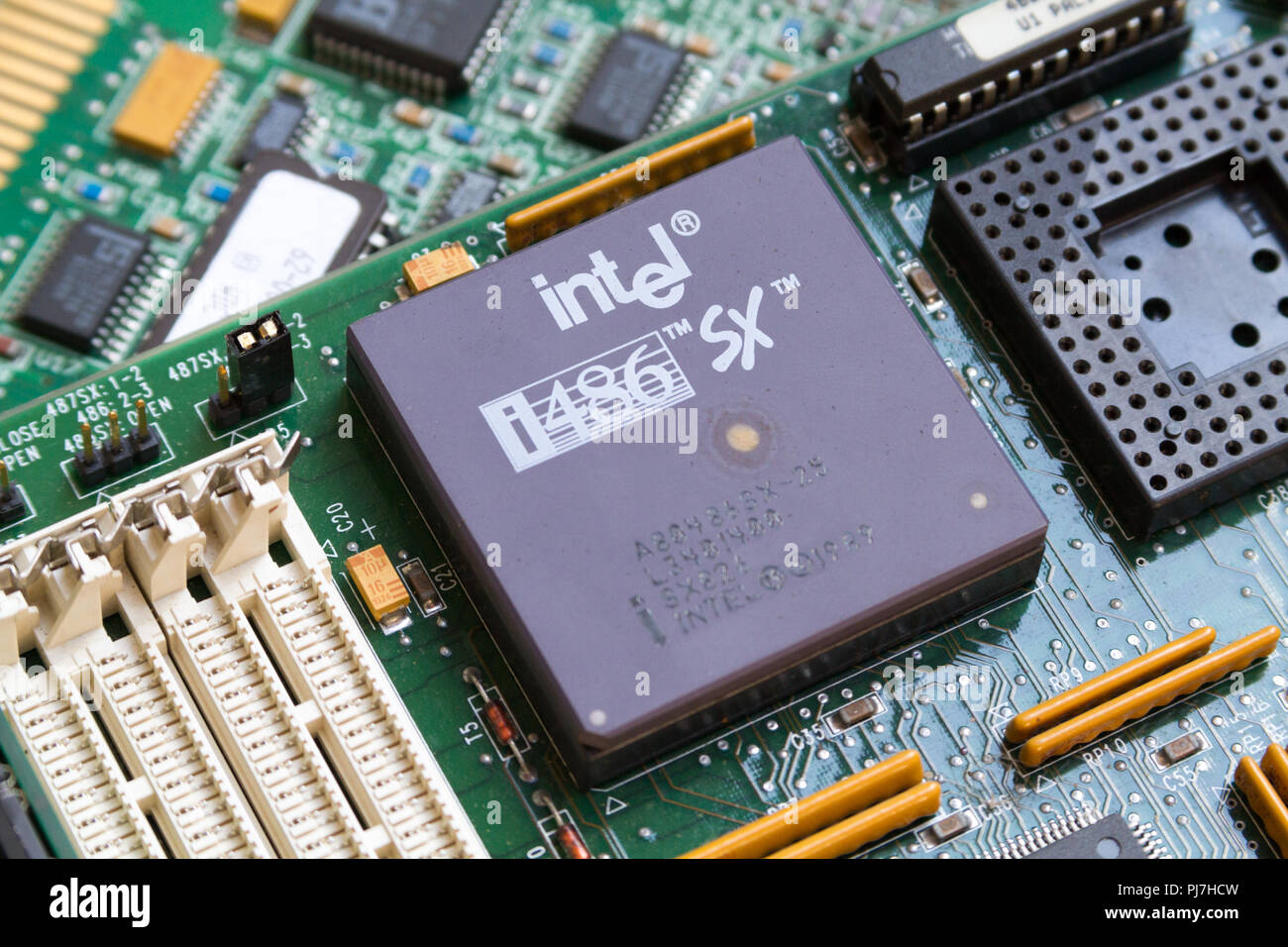 Ein Intel i486 SX (80486SX) Prozessor (CPU) von 1989 in einem Sockel auf der Hauptplatine. Caklov, Slowakei. 2018/7/28. Stockfoto