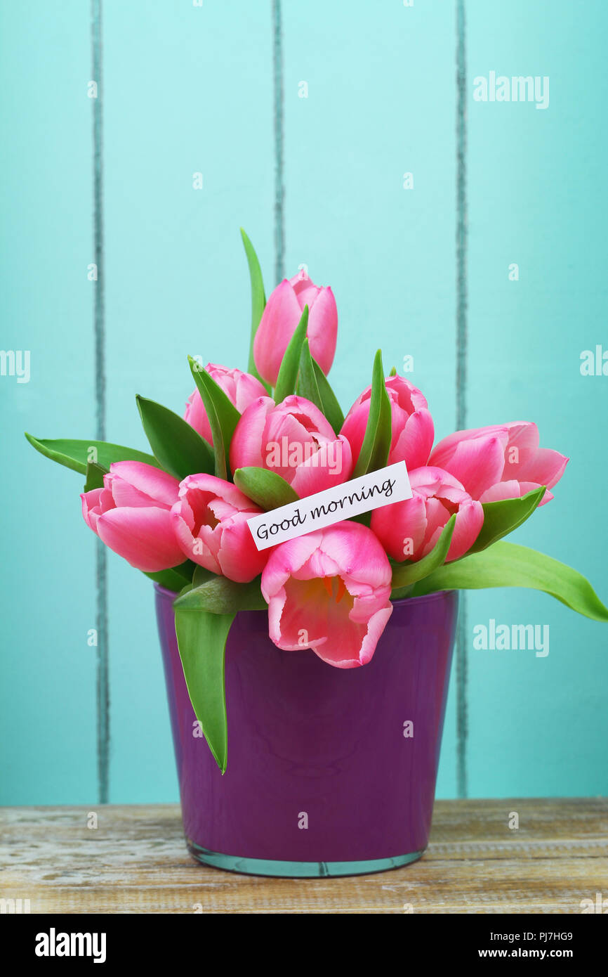 Guten Morgen Karte mit rosa Tulpen Purple Flower Pot mit Holz lackiert Blau im Hintergrund Stockfoto