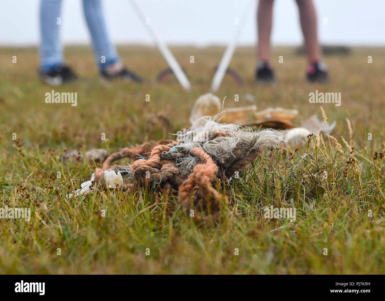 Menschen herauf Wurf, der aus dem Meer gewaschen wurde, mit Seil und Kunststoff, kopieren, um Platz zu Front grün Gras Hintergrund Stockfoto