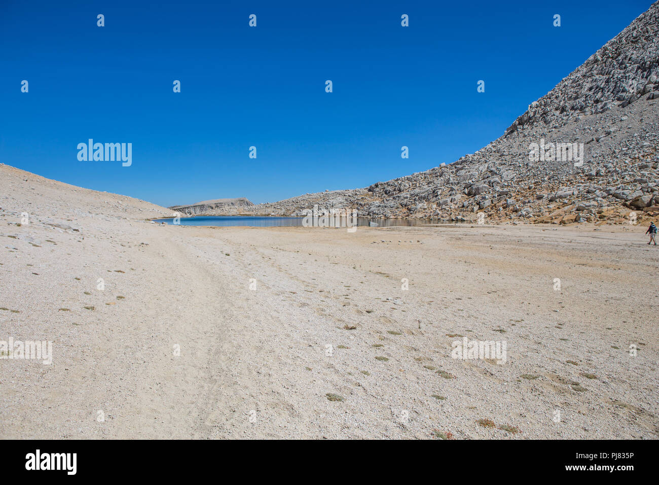 Ein Wanderer Hund am Gipfel See an der Spitze der Mono Pass in einer Höhe von 12.060 ft als Sie kreuzt die östlichen Berge der Sierra Nevada in Kalifornien Stockfoto