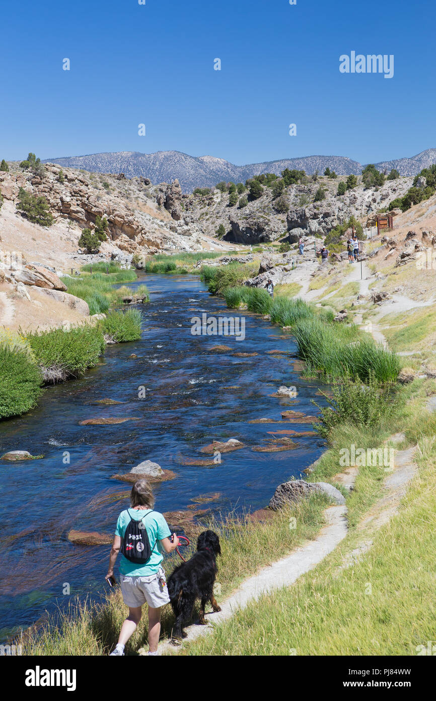 Eine Frau geht mit ihrem Hund am Ufer des Owens River, wie es durch die Long Valley Caldera in Mono County California läuft Stockfoto