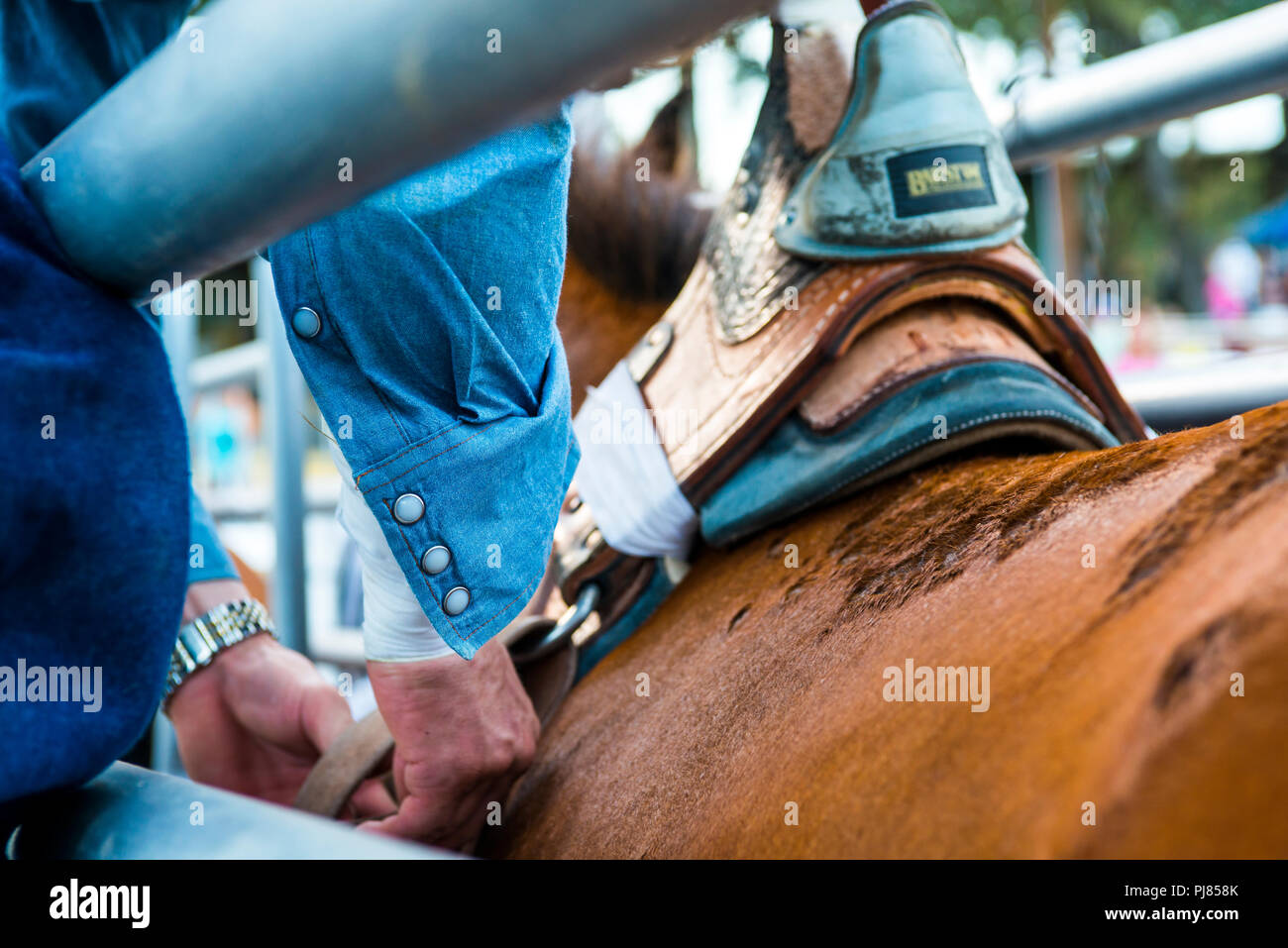 Rodeo Cowboy in Teschow, Texas USA. Labor Day Wochenende 2018. Stockfoto