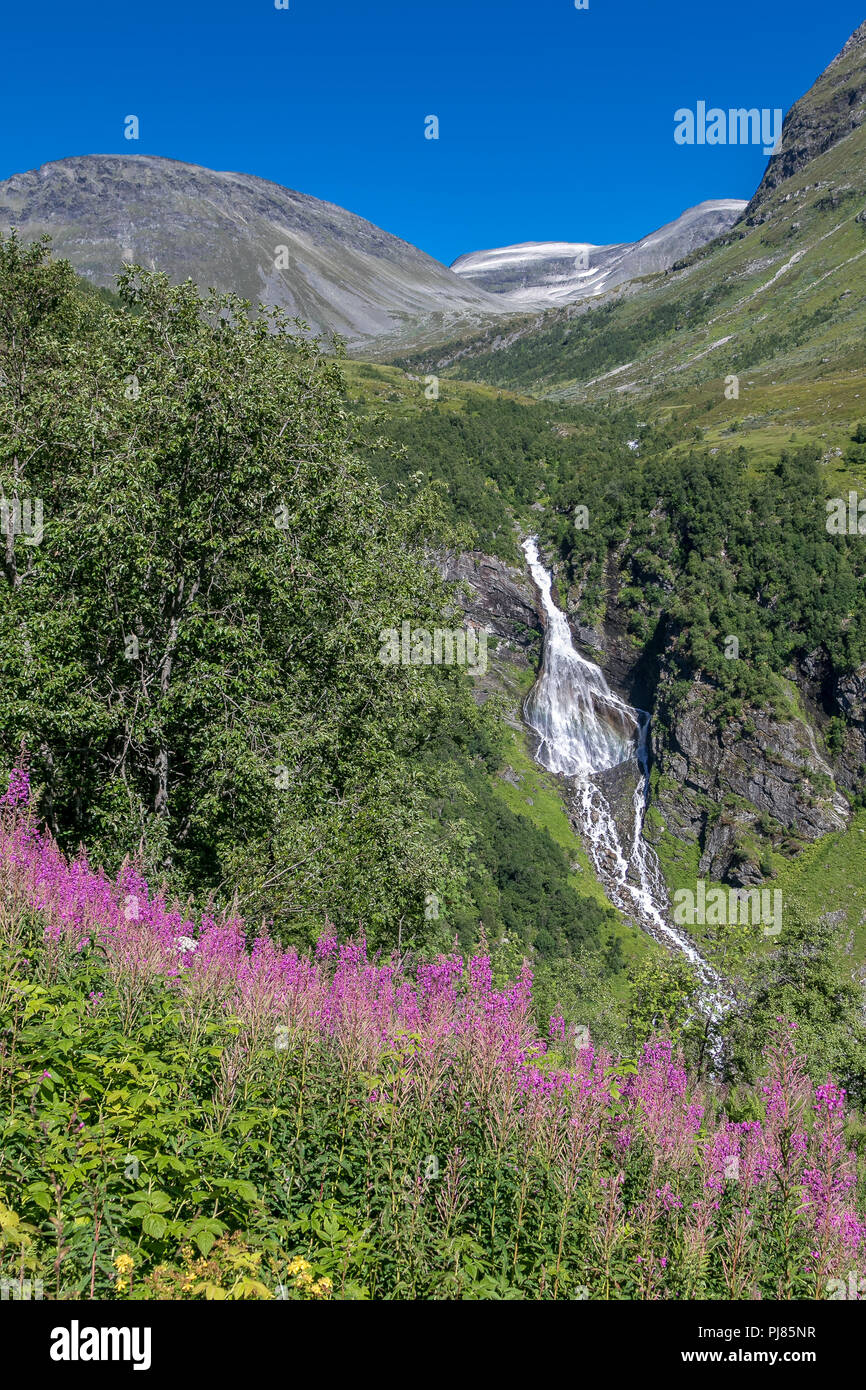 Norwegische Landschaft mit Wasserfall und fireweed. Stockfoto