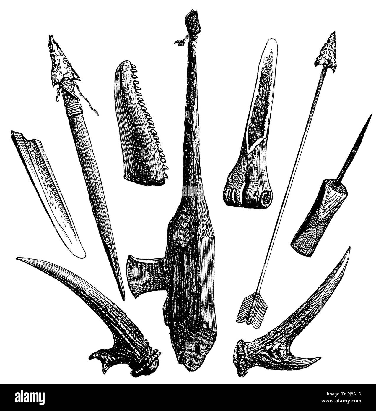 Knöcherne Waffen und Geräte der Tierra del Fuego (Tierpark Hagenbeck, Hamburg), 1894 Stockfoto