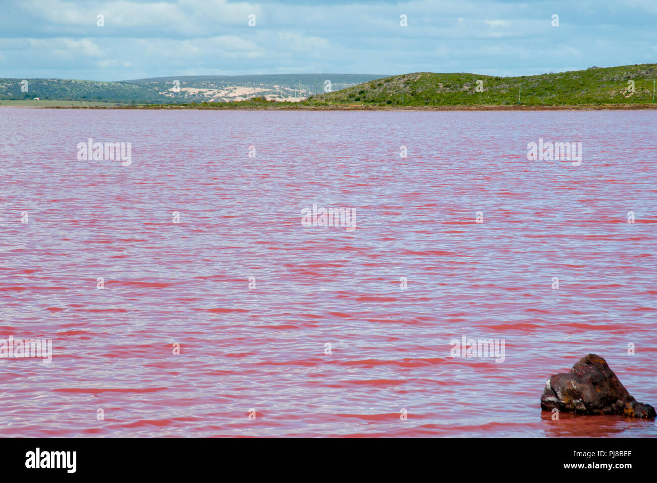 Hutt Lagoon Rosa See - Western Australia Stockfoto