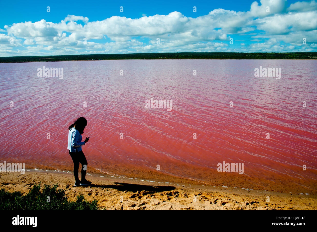 Hutt Lagoon Rosa See - Western Australia Stockfoto