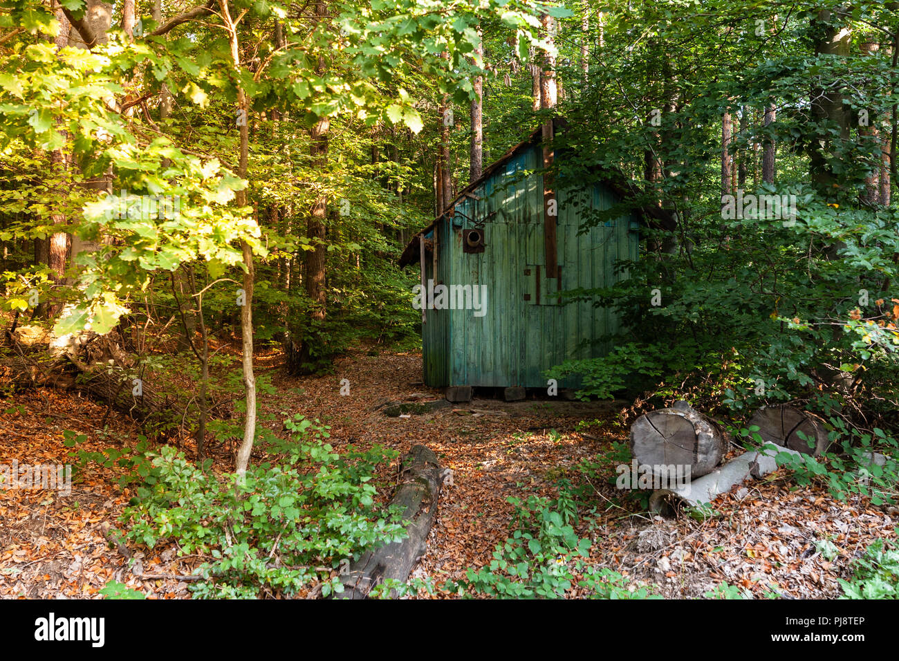 Die mystischen alten, verlassenen Jagdhütte im Wald bei Sonnenaufgang Stockfoto