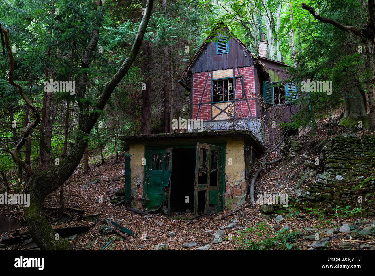 Die mystischen alten, verlassenen Jäger Haus im Wald zwischen Bäumen in der Dunkelheit Stockfoto