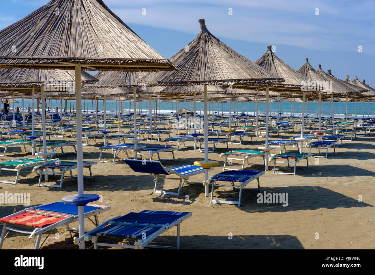 Sonnenschirme und Liegestühle am Strand in Fushë-Dra ç in der Nähe von Durres, Durrës, Albanien Stockfoto