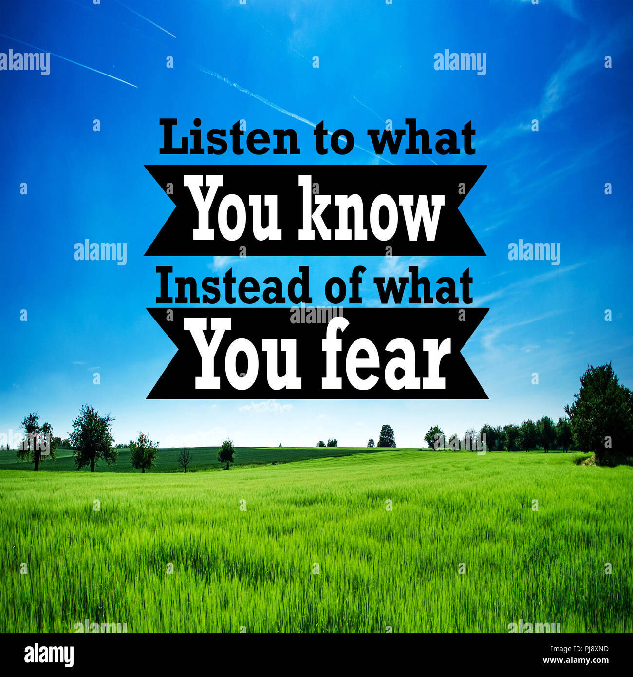 Inspirierende Zitat: zu dem, was Sie anstelle von, was Sie fürchten, Zuhören, positive, Motivation, Inspiration Stockfoto