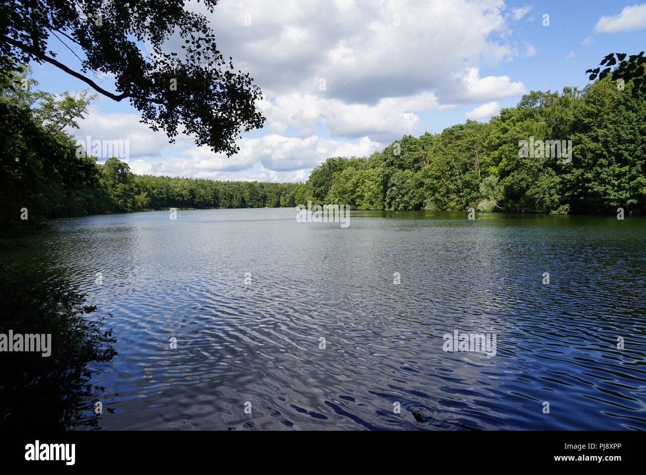 Krumme Lanke, See, Steglitz-Zehlendorf, Grunewald, Berlin, Deutschland, Europa Stockfoto