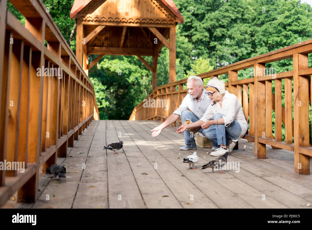 Zwei gutherzige ältere Menschen Ernährung Brot für Tauben im Park Stockfoto