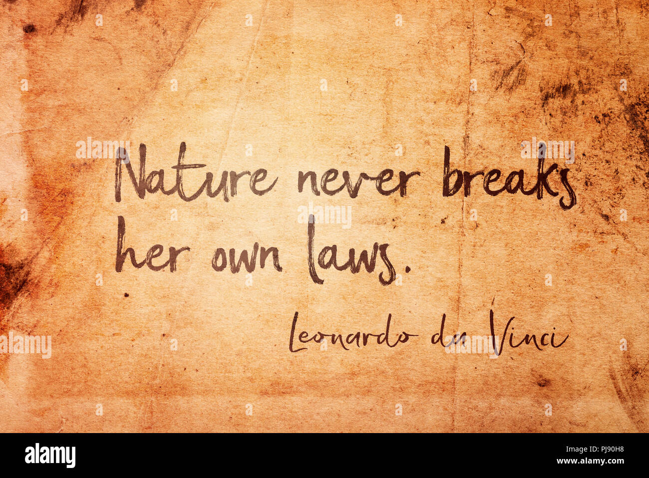 Die Natur bricht niemals ihre eigenen Gesetze - alte italienische Künstler Leonardo da Vinci Zitat auf Vintage grunge Papier gedruckt Stockfoto