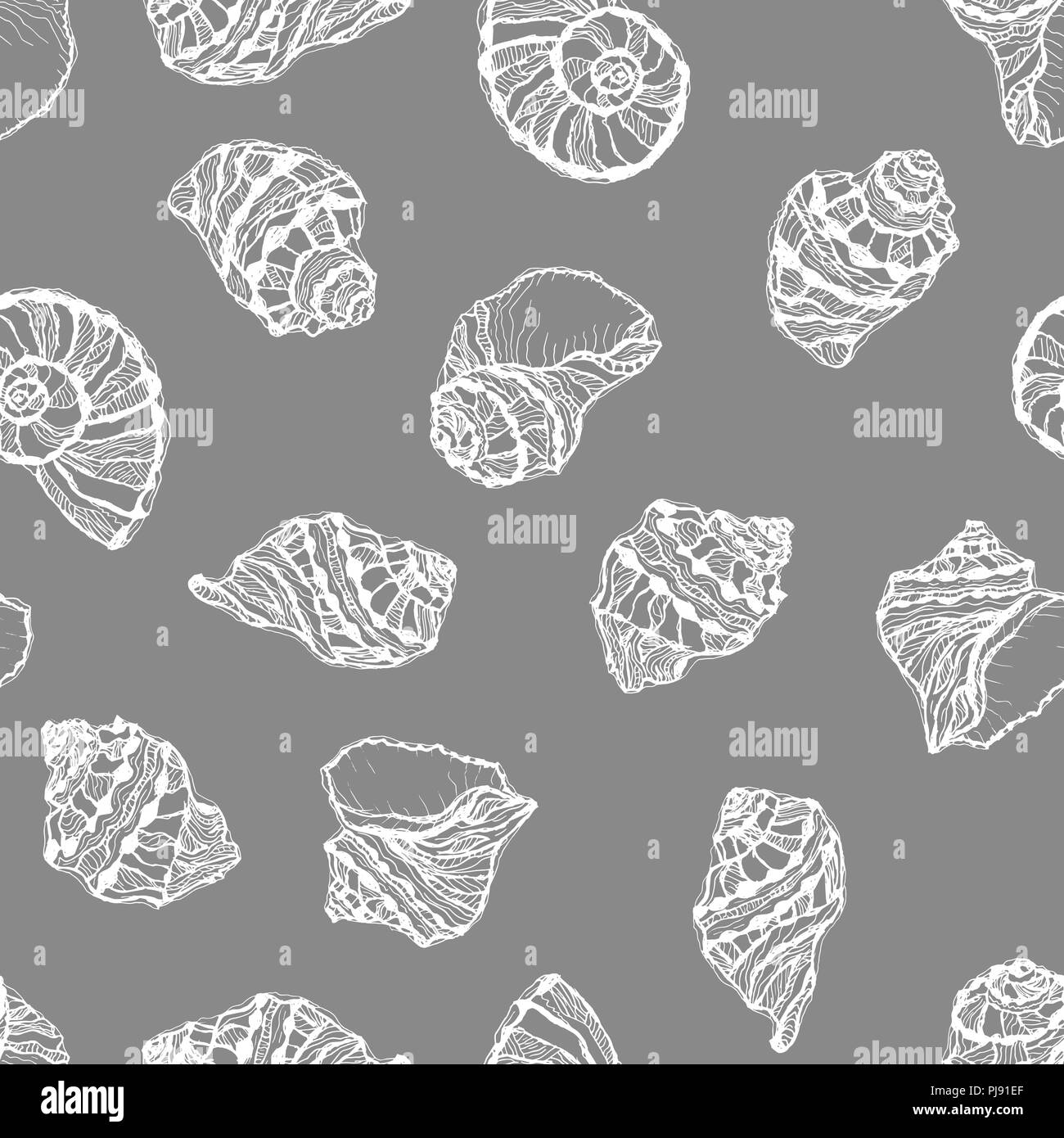 Vektor nahtlose Muster aus weißen Muschel auf grauem Hintergrund. Handzeichnungen Muschel Muscheln gezeichnet. Stock Vektor